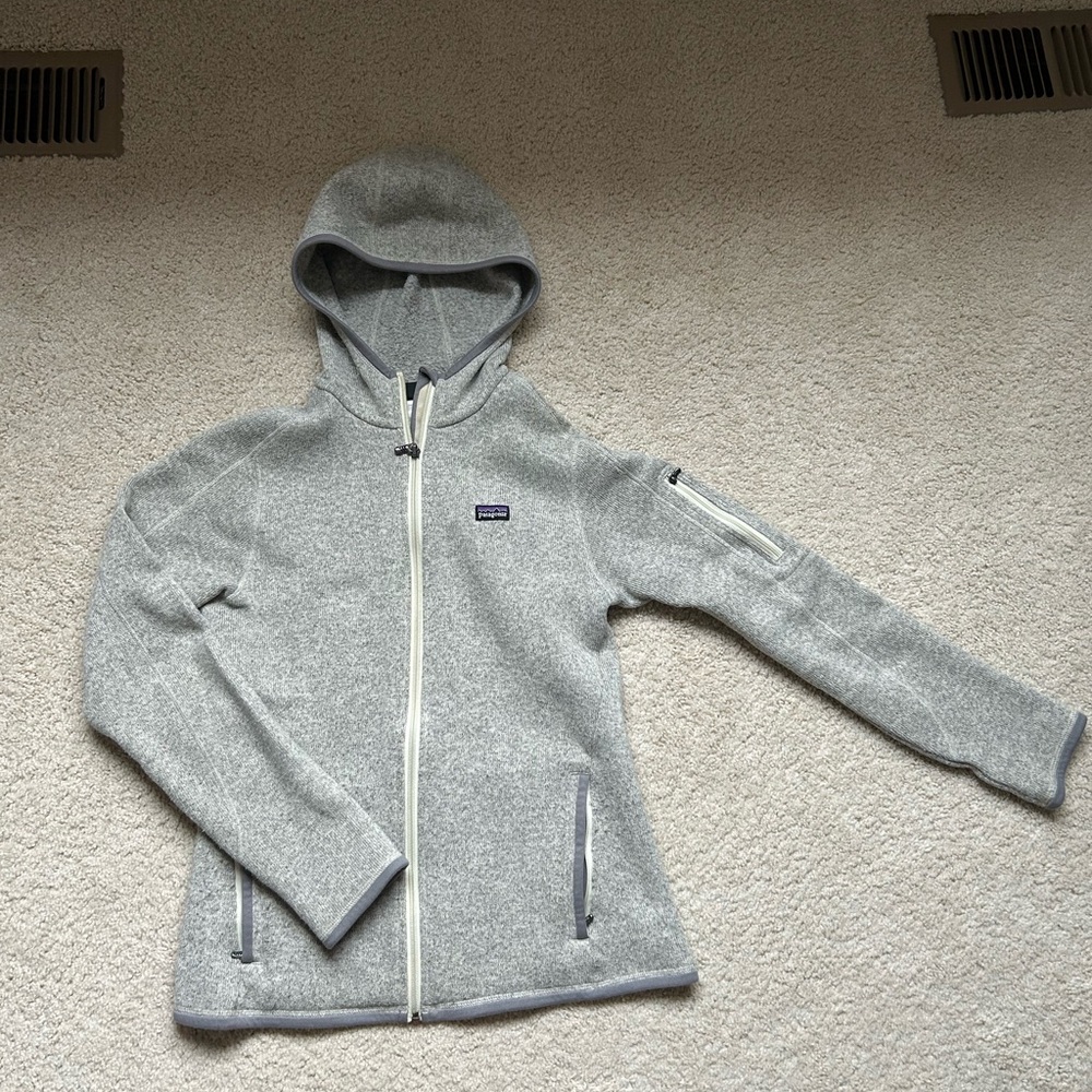 Patagonia Light Gray Fleece Hoodie